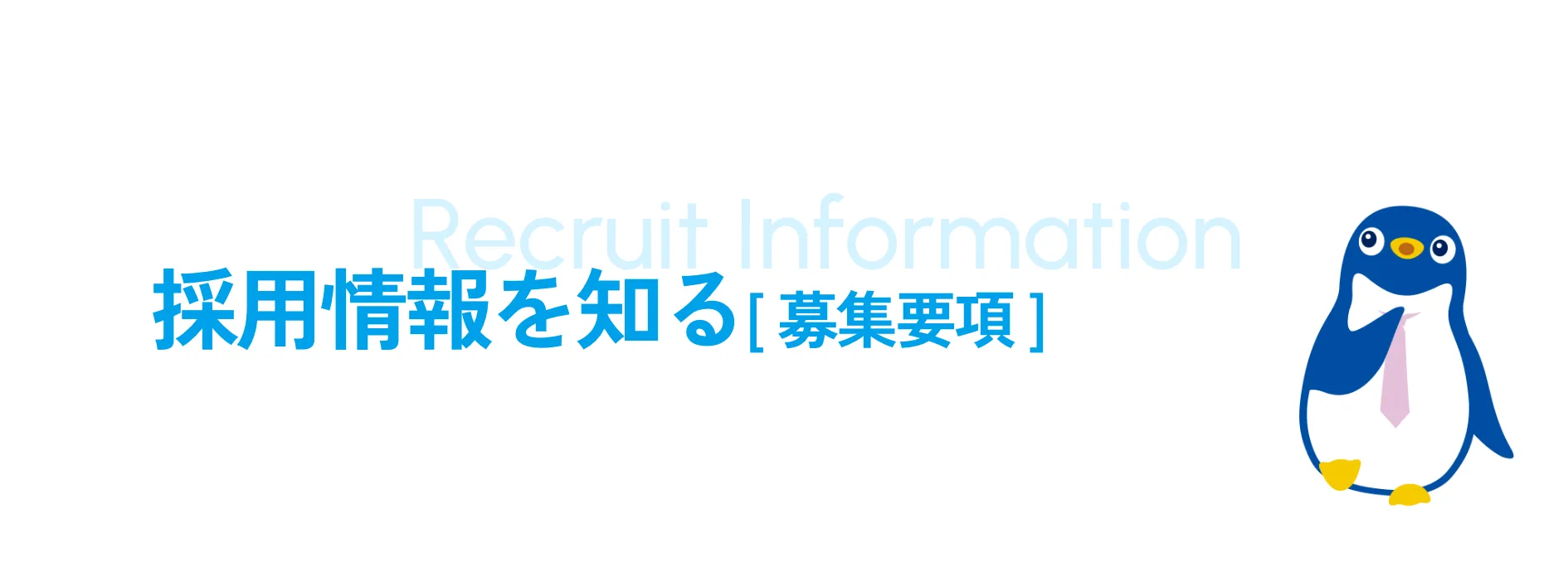 採用情報を知る(募集要項)